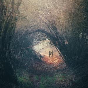 张柏芝陈冠希做爰视频
